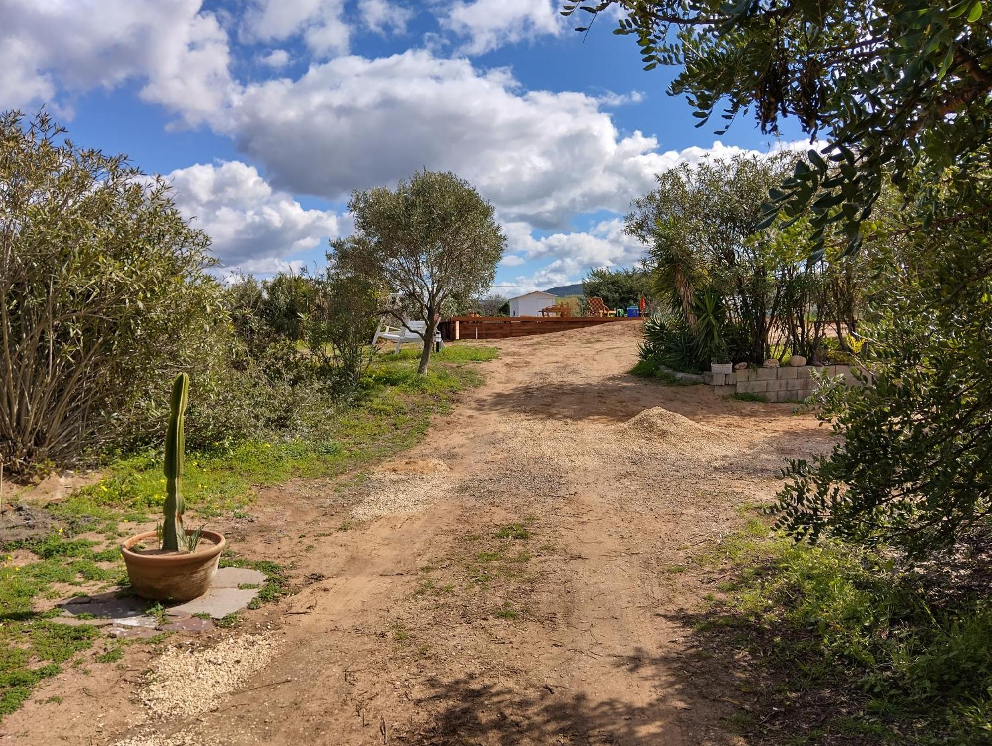 Mare Apartment Valledoria  Bagian luar foto